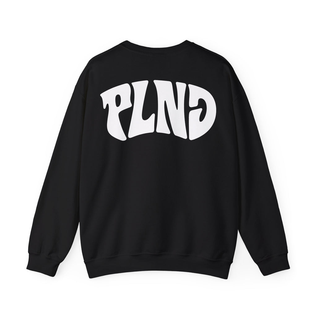 Bluza Bez Kaptura PLND Basic - Czarna
